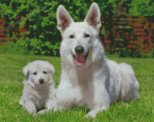 White German Shepherd Diamond Painting