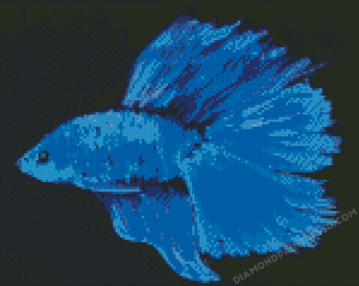 Blue Betta Fish Diamond Painting