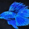 Blue Betta Fish Diamond Painting