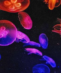 Colorful Jellyfish Diamond Painting