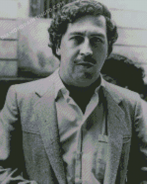 Pablo Escobar Diamond Painting