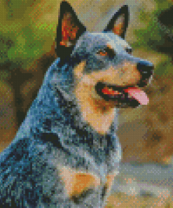 Aesthetic Blue Healer Diamond Painting