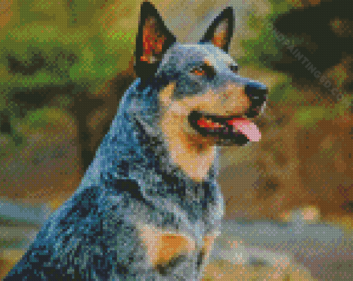 Aesthetic Blue Healer Diamond Painting