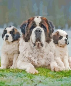 Aesthetic St Bernard Diamond Painting