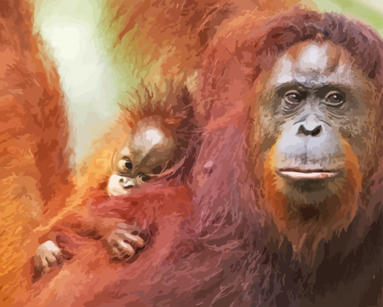 Aesthetic Orangutan Diamond Painting