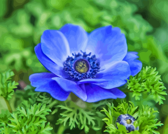 Blue Anenome Diamond Painting