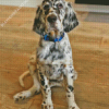 English Setter Dog Diamond Painting