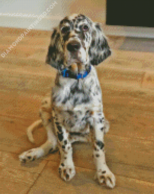 English Setter Dog Diamond Painting