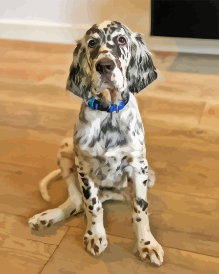 English Setter Dog Diamond Painting