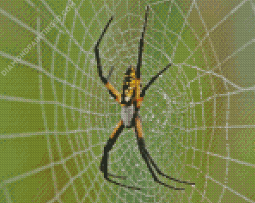 Garden Spider Diamond Painting