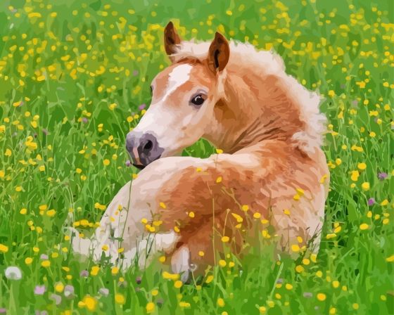 Haflinger Horse Foal Resting Diamond Painting