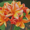 Plumeria Diamond Painting