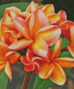 Plumeria Diamond Painting