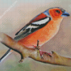 Pinson Bird Diamond Painting