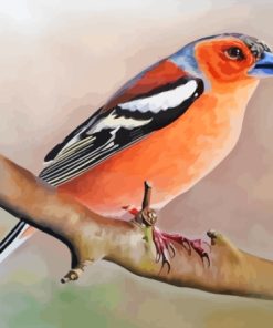 Pinson Bird Diamond Painting