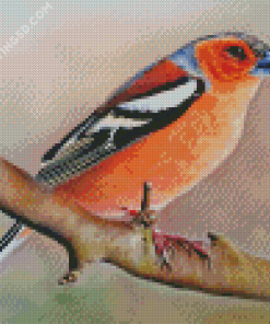 Pinson Bird Diamond Painting