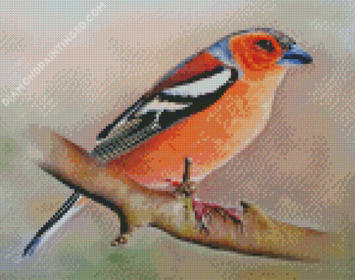 Pinson Bird Diamond Painting