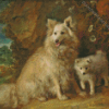 Pomeranian Thomas Gainsborough Diamond Painting