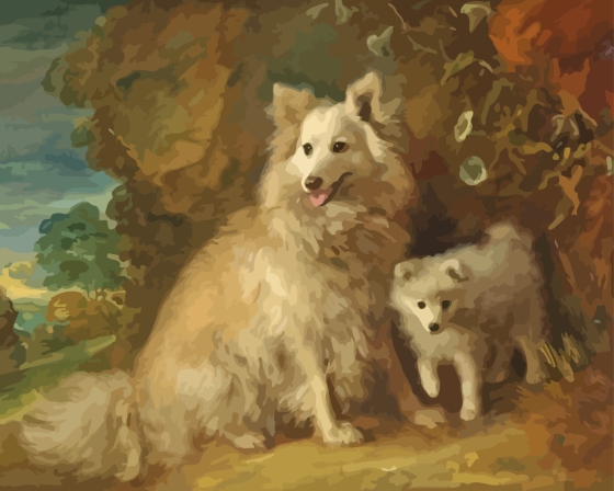 Pomeranian Thomas Gainsborough Diamond Painting