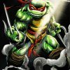 Raphael Character Diamond Painting