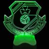 Shamrock Rovers Crest Diamond Painting