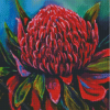 Waratah Diamond Painting