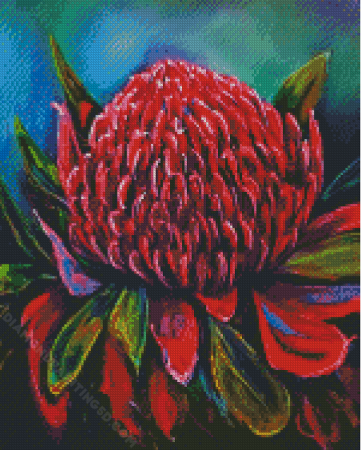 Waratah Diamond Painting