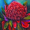 Waratah Diamond Painting