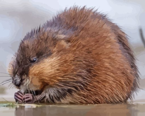 Adorable Muskrat Diamond Painting