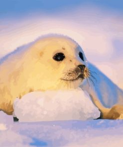 Harp Seal Diamond Painting