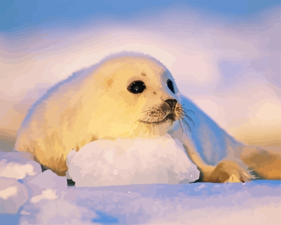 Harp Seal Diamond Painting