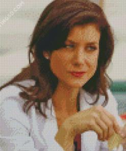 Addison Montgomery Character Diamond Painting