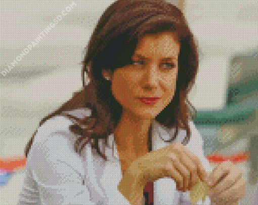 Addison Montgomery Character Diamond Painting