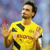 Aesthetic Mats Hummels Diamond Painting