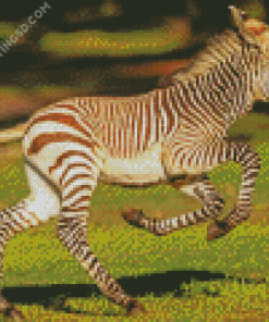 Aesthetic Zebra Baby Diamond Painting