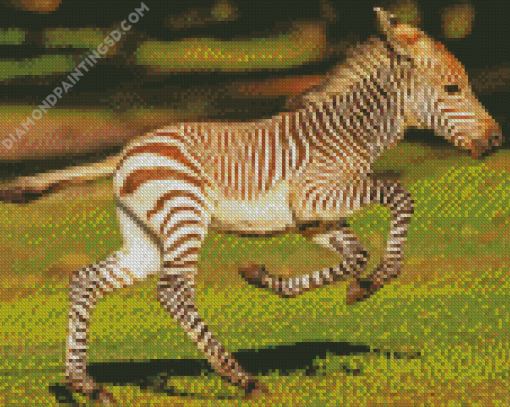 Aesthetic Zebra Baby Diamond Painting