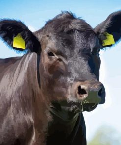 Angus Cow Diamond Painting