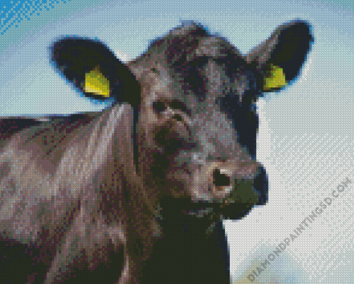 Angus Cow Diamond Painting