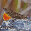 Anole Lizard Diamond Painting