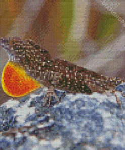 Anole Lizard Diamond Painting