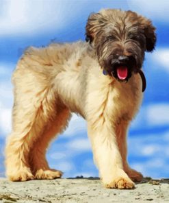 Briard Puppy Diamond Painting