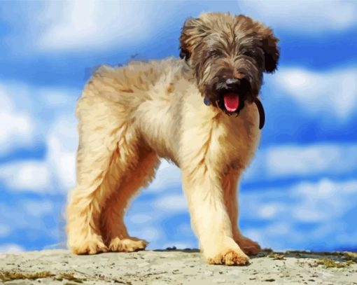 Briard Puppy Diamond Painting