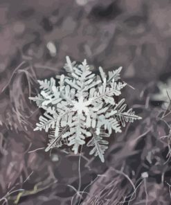 Close Up Black And Snowflake Diamond Painting