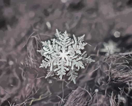 Close Up Black And Snowflake Diamond Painting