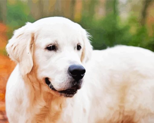 Cream Retriever Animal Diamond Painting