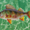 European Perch Diamond Painting