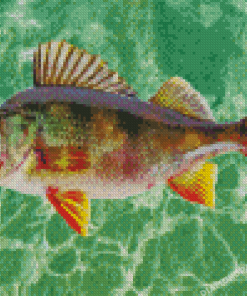 European Perch Diamond Painting