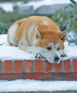 Hachiko In Snow Diamond Painting