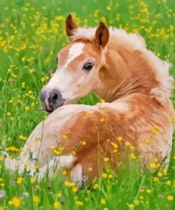 Haflinger Horse Foal Diamond Painting