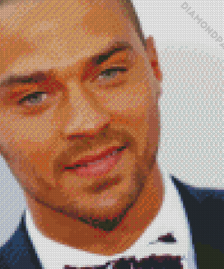 Jesse Williams Diamond Painting